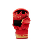 Gants MMA Leone DNA 7 oz GP144 avec pouce