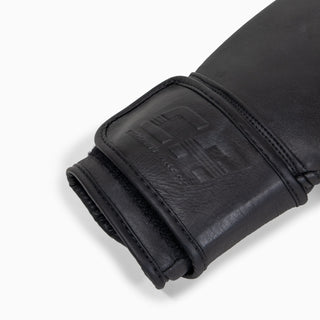 Gants de boxe Combat Arena Heritage 2.0