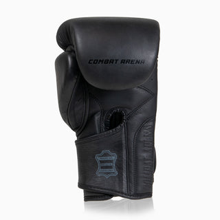 Gants de boxe Combat Arena Heritage 2.0