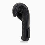 Gants de boxe Combat Arena Heritage 2.0