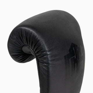 Gants de boxe Combat Arena Heritage 2.0