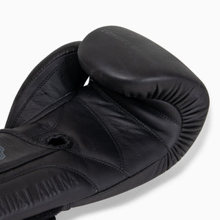 Gants de boxe Combat Arena Heritage 2.0