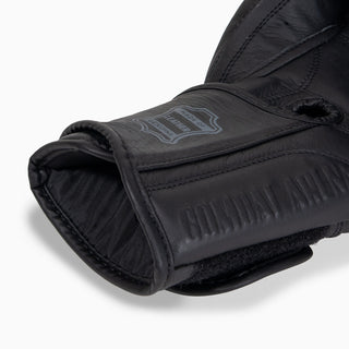 Gants de boxe Combat Arena Heritage 2.0