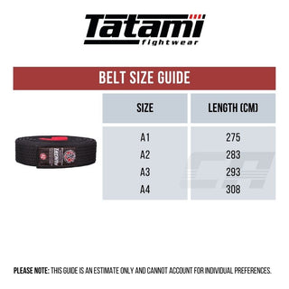 Ceinture Tatami BJJ