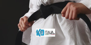 Karategi Professionnel Kata Ko Italia