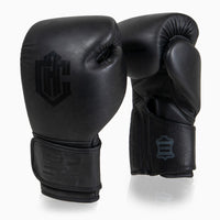 Gants de combat Arena Heritage 2.0
