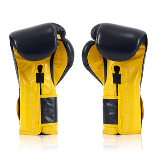 Gants de boxe Fairtex Mexican Style BGV9 Bleu-jaune 