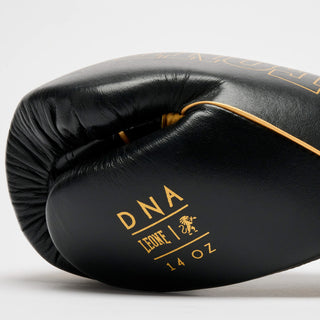 Gants de boxe Leone DNA Premium GN002 Noir 