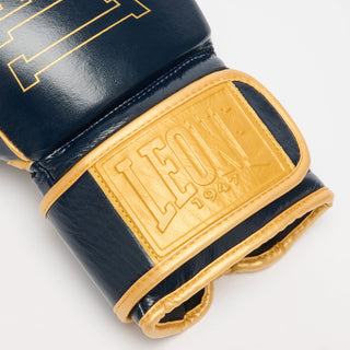 Gants de boxe Leone DNA Premium GN002 Bleu 