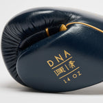 Gants de boxe Leone DNA Premium GN002 Bleu 