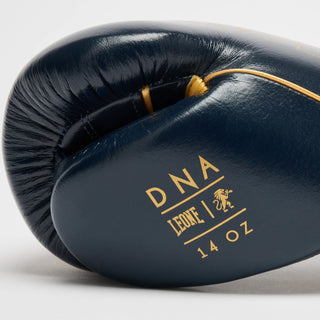 Gants de boxe Leone DNA Premium GN002 Bleu 