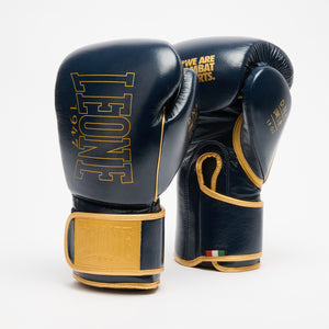 Gants de boxe Leone DNA Premium GN002 Bleu