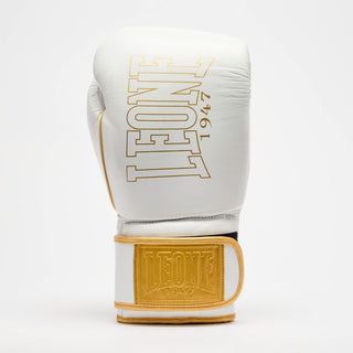 Gants de boxe Leone DNA Premium GN002 Blanc 