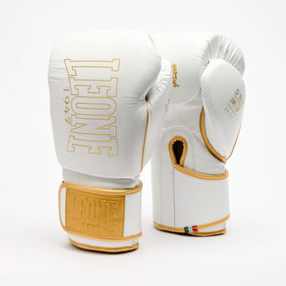 Gants de boxe Leone DNA Premium GN002 Blanc 