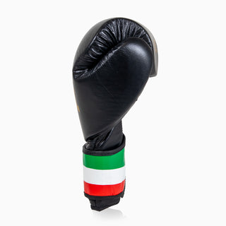 Gants de boxe Leone Italie GN039 
