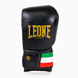 Gants de boxe Leone Italie GN039 