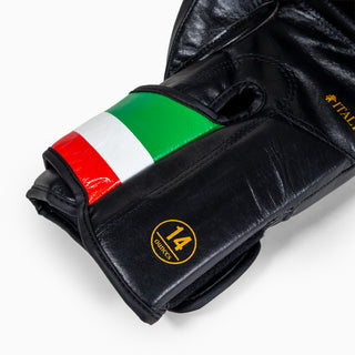 Gants de boxe Leone Italie GN039 