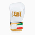 Gants de boxe Leone Italie GN039 