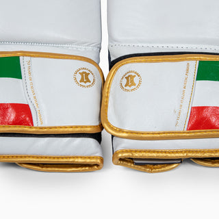 Gants de boxe Leone Italie GN039 