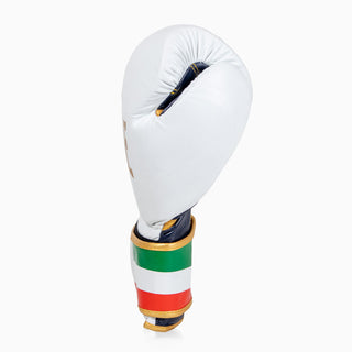 Gants de boxe Leone Italie GN039 