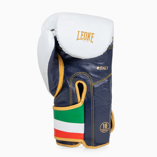 Gants de boxe Leone Italie GN039 