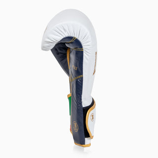 Gants de boxe Leone Italie GN039 