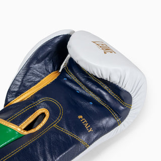 Gants de boxe Leone Italie GN039 