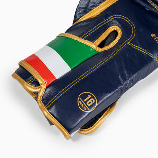 Gants de boxe Leone Italie GN039 