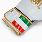 Gants de boxe Leone Italie GN039 