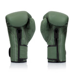 Gants de Muay Thai Fairtex BGV11 F-Day 