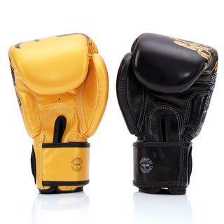Gants de Muay Thai Fairtex BGV26 Harmonie Six 