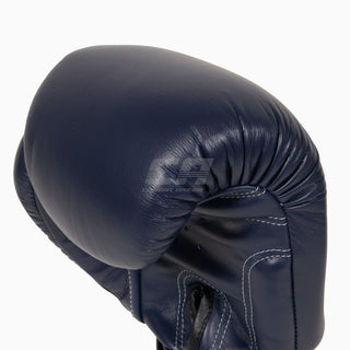 Gants de Muay Thai Twins Special BGVL3 Bleu