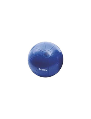 Gym Ball Pro Toorx AHF-147 ø55 cm