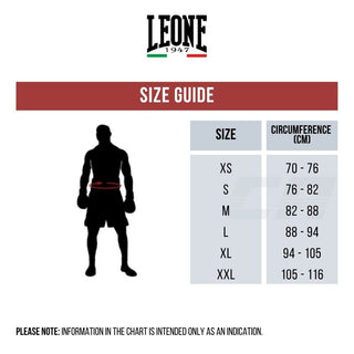 Shorts de boxe Leone Black Lion AB244 