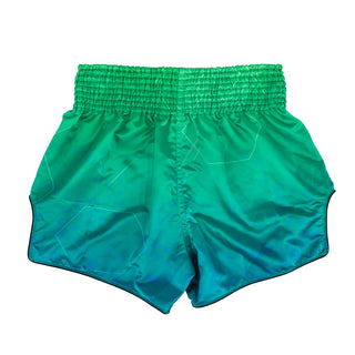Shorts kick-thaï Fairtex BS1953 Quantum-Combat Arena