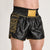 Shorts kick-thai Leone DNA Premium AB969 Noir 