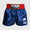 Shorts de kick-thai Venum Muay Thai Classic 