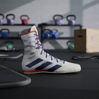 Chaussures de boxe Adidas Box Hog 4 Blanc-bleu 