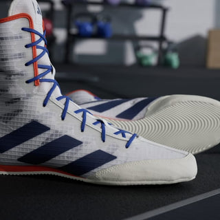 Chaussures de boxe Adidas Box Hog 4 Blanc-bleu 