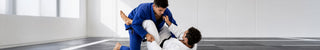 Jujitsu Bresilien
