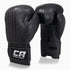 Gants de boxe Combat Arena Sonar 