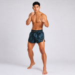 Shorts kick-thai Fairtex BS1902 Stealth #2