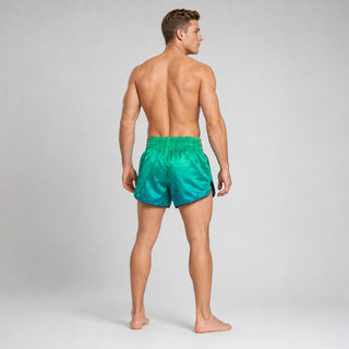 Shorts kick-thai Fairtex BS1953 Quantum